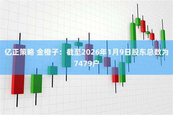 亿正策略 金橙子：截至2026年1月9日股东总数为7479户