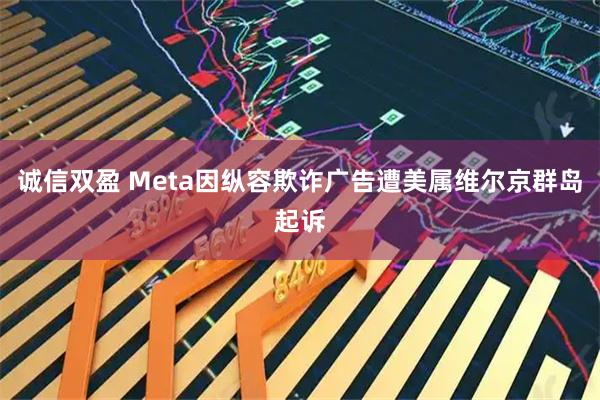 诚信双盈 Meta因纵容欺诈广告遭美属维尔京群岛起诉