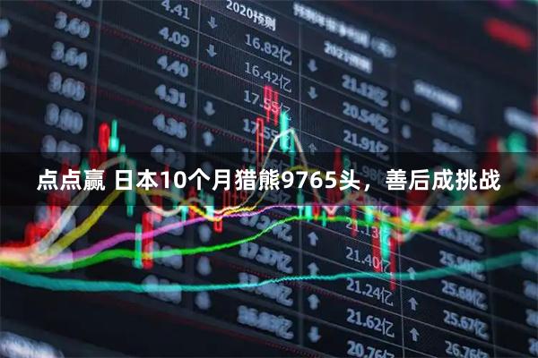 点点赢 日本10个月猎熊9765头，善后成挑战