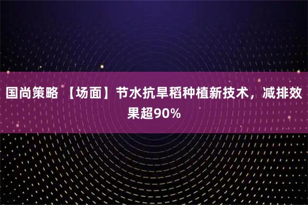 国尚策略 【场面】节水抗旱稻种植新技术，减排效果超90%
